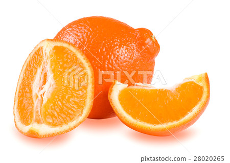 Mandarin or Mineola isolated on white background 28020265