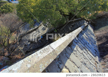 Kunozan Toshogu Shrine Omotesando stone stairway 28020613