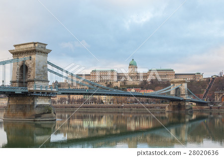Chain Bridge with Buda Castle Hungary Budapest  28020636