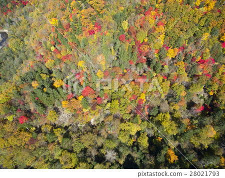 Eniwa Valley in the fall (Aerial photographing overhead view) Eniwa Valley in the fall (Aerial photographing overhead view) 28021793