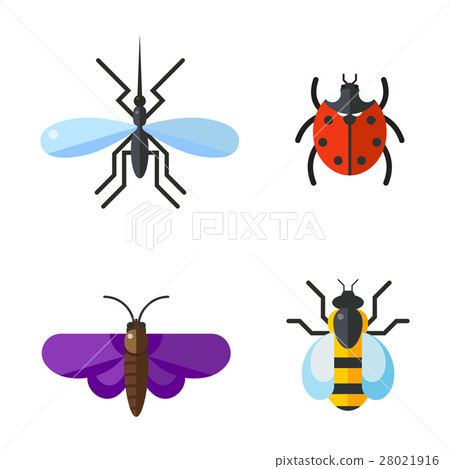 Insect icon flat set isolated on white background 28021916