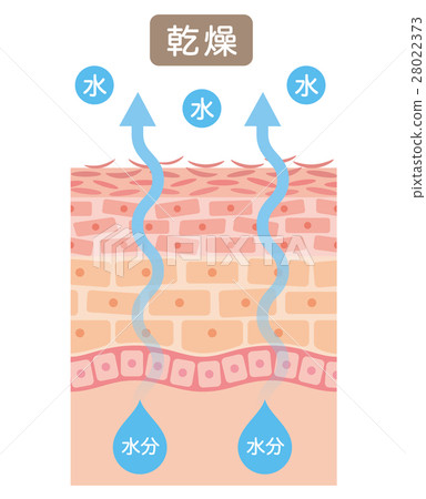 Skin moisture dry skin - Stock Illustration [28022373] - PIXTA