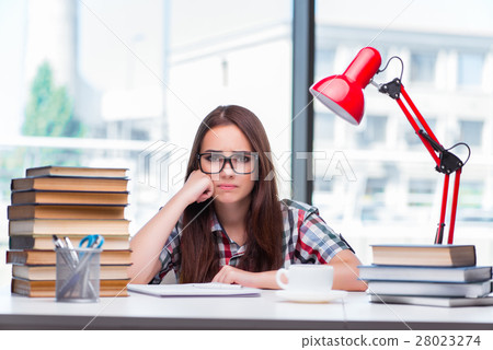 Young woman student preparing for college exams 28023274