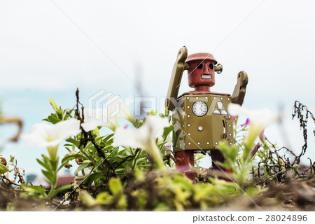 Retro tin robot toy playing in the garden Retro tin robot toy playing in the garden 28024896
