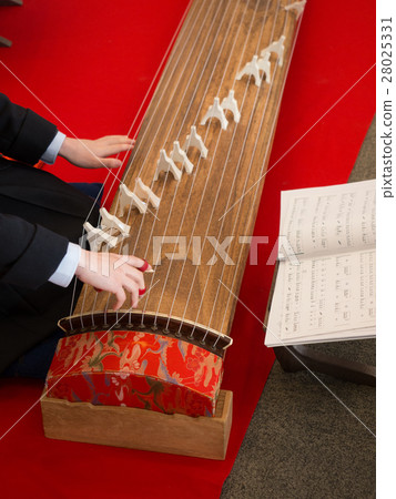 Koto performance Koto performance 28025331