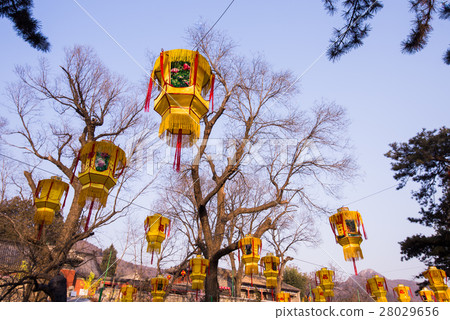 Hanging chinese Lantern at park outdoors Hanging chinese Lantern at park outdoors 28029656