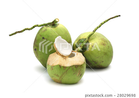 Coconut Ripe and tasty isolated on white Coconut Ripe and tasty isolated on white 28029698