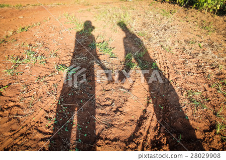 Shadow of man and woman holding hands together Shadow of man and woman holding hands together 28029908