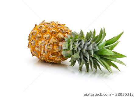 Isolated of pineapple fruit sliced on white Isolated of pineapple fruit sliced on white 28030312