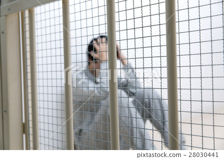 Detention place suspect image 28030441