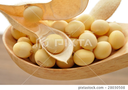 soy 28030508