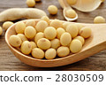 大豆 28030509