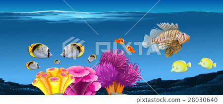 Underwater scene with fish and coral reef Underwater scene with fish and coral reef 28030640
