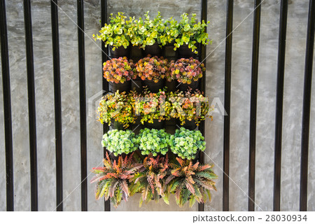 Group of Moist and small tree in a clay pot,small garden decorat Group of Moist and small tree in a clay pot,small garden decorat 28030934