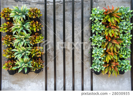 Group of Moist and small tree in a clay pot,small garden decorat Group of Moist and small tree in a clay pot,small garden decorat 28030935