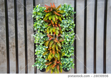 Group of Moist and small tree in a clay pot,small garden decorat Group of Moist and small tree in a clay pot,small garden decorat 28030936