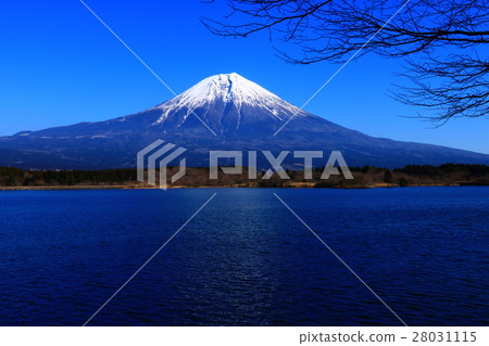 富士山和Tanuki湖 28031115