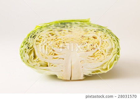 白菜部分 白菜部分 28031570