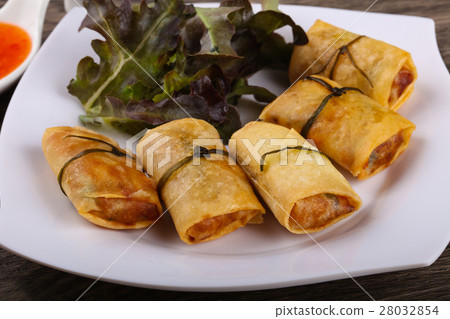 Asian spring roll 28032854