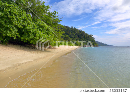 Landscape with deserted sandy beach 28033187