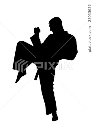 Sport Silhouette, Karate Kick Sport Silhouette, Karate Kick 28033626