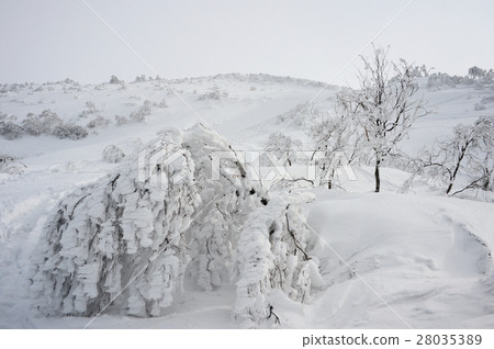 Hakkaisan of frozen fresh snow 28035389
