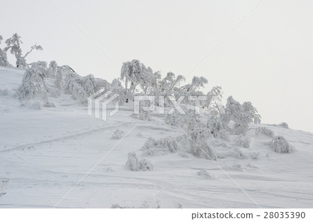Hakkaisan of frozen fresh snow 28035390