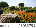 Field of marigold flower with stone over blue sky 28035759