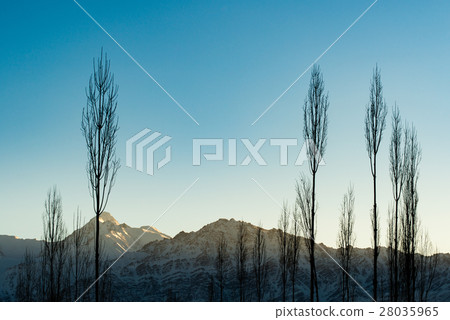 Beautiful landscape in Himalayas at the sunrise. 28035965