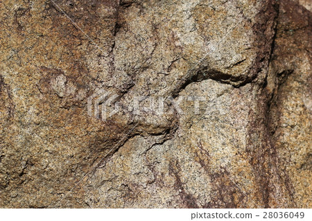 Rough rough skin Rough rough skin 28036049