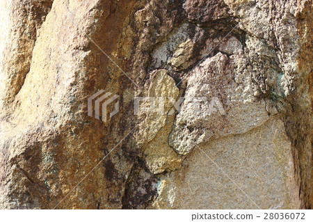 粗糙的皮膚 粗糙的皮膚 28036072