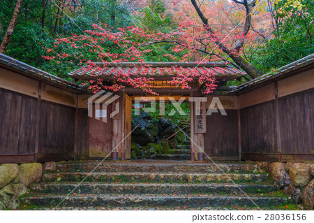 Autumn leaves of Kyoto Shoko-in 28036156