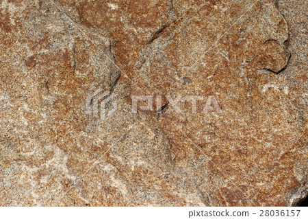 粗糙的皮膚 28036157