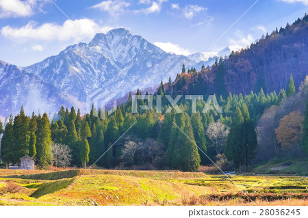 晚秋末期 28036245