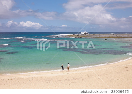 Emeral綠海,奄美大島Tosamori(Tomari)海岸,鹿兒島縣 Emeral綠海,奄美大島Tosamori(Tomari)海岸,鹿兒島縣 28036475