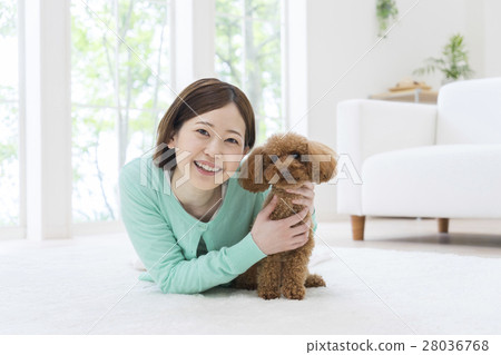 躺下在屋子里和玩具獅子狗的婦女 28036768