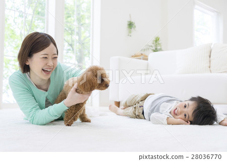 父母和孩子躺在房間里和玩具貴賓犬 父母和孩子躺在房間里和玩具貴賓犬 28036770