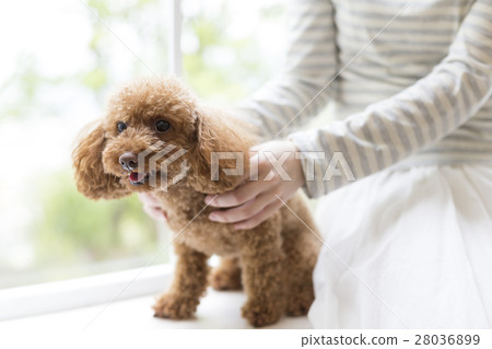 Mother holding a baby 28036899