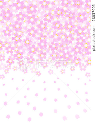 Cherry background material Cherry background material 28037003