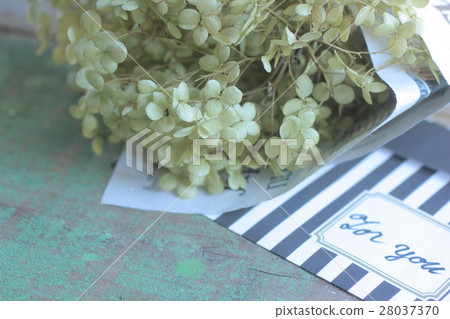 Flower gift 28037370