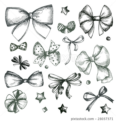Vector hand drawn collection of lush bows and 28037371