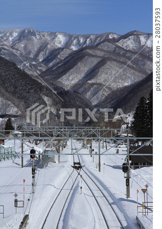 Shinanomori駐地在白馬村莊在冬天 28037593