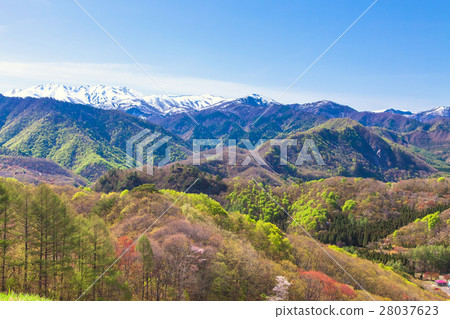 Satoyama spring 28037623