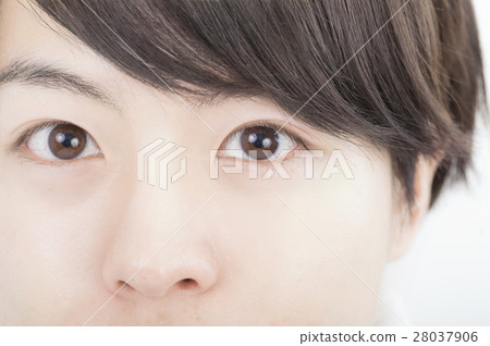 男人的美麗形象眼睛睫毛鼻子盯著 28037906