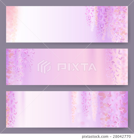 Spring background with blooming wisteria Spring background with blooming wisteria 28042770
