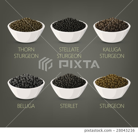 Roe or spawn, red or silver, salmon caviar 28043216