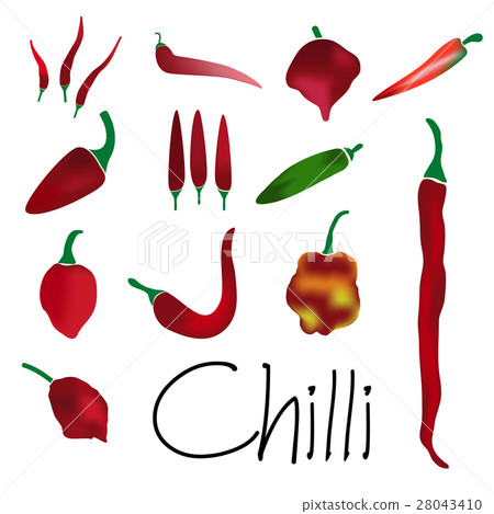 chilli peppers types colorful collection eps10 28043410