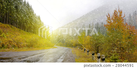 Road in the mountain forest 28044591