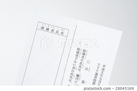 選舉投票 28045169