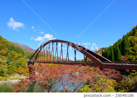 Autumn leaves of Okunohana Valley in Nagano 28046186